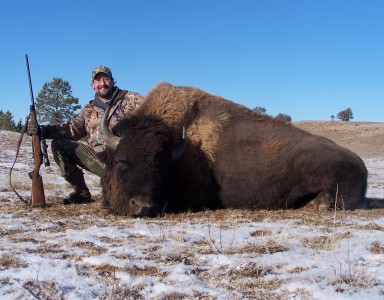 Bison-day-2-015
