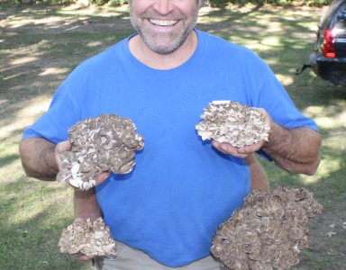 Brian Williams with Mushrooms