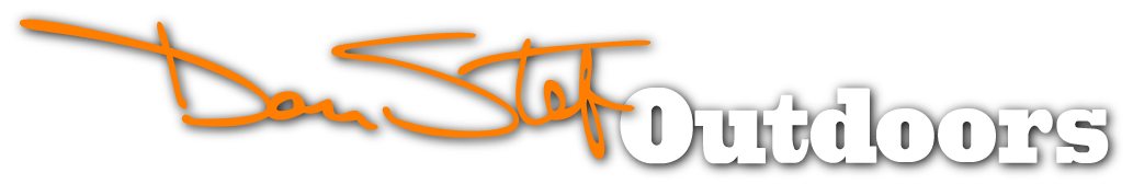 dso-logo-footer