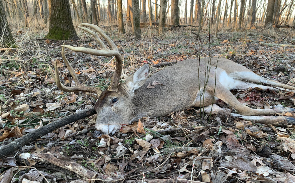2020 Illinois Shot Gun Deer Harvest Pinback Pin